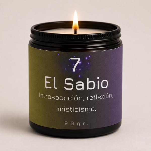 🔻 Número 7 – El Sabio